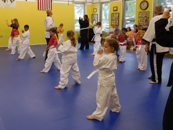 Tiger Martial Arts LLC karate lesson class instructor students